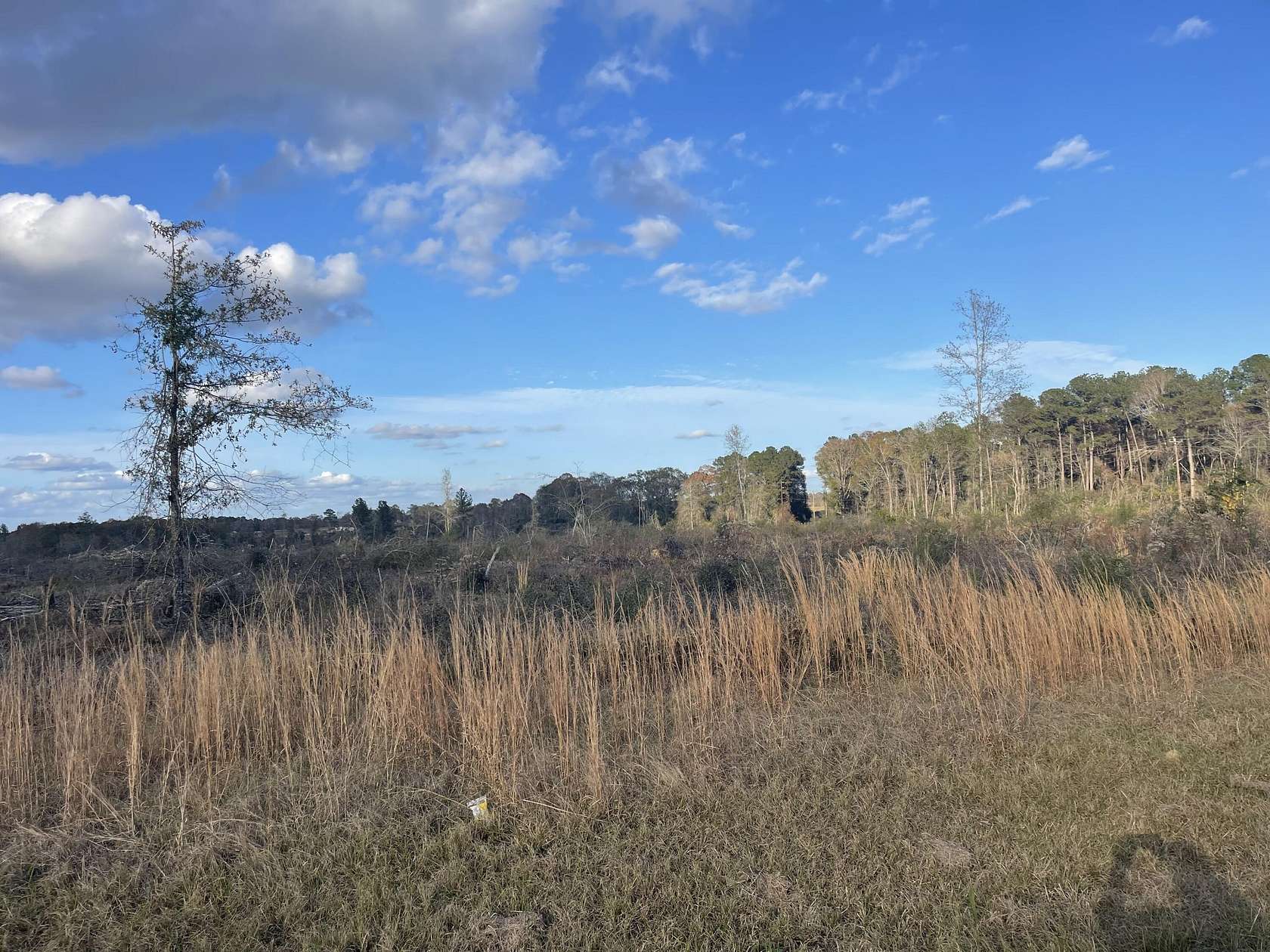 87 Acres of Land for Sale in Bassfield, Mississippi