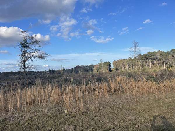 87 Acres of Land for Sale in Bassfield, Mississippi