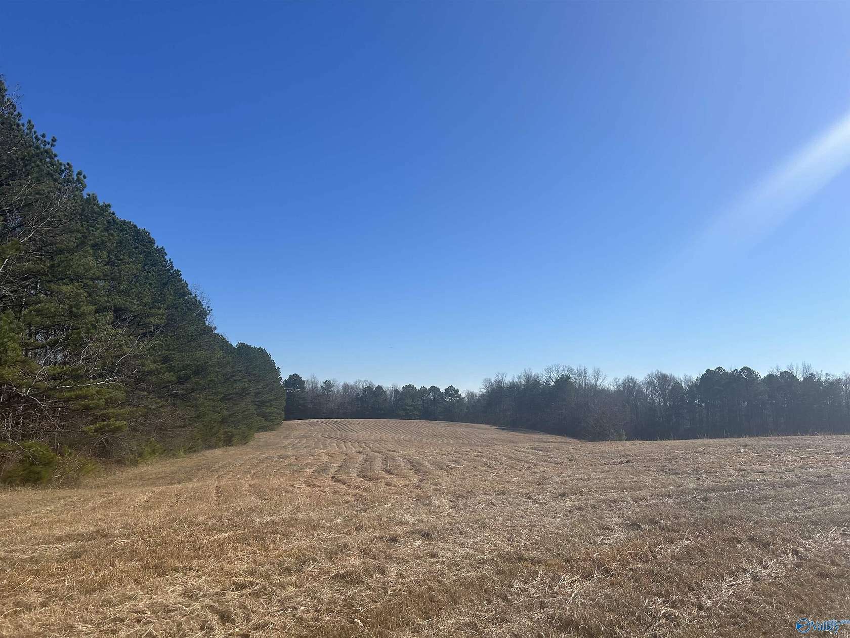 25 Acres of Recreational Land & Farm for Auction in Guntersville, Alabama