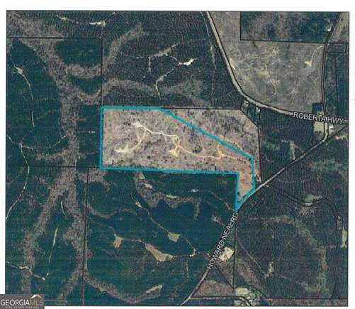 80.61 Acres of Agricultural Land for Sale in Talbotton, Georgia