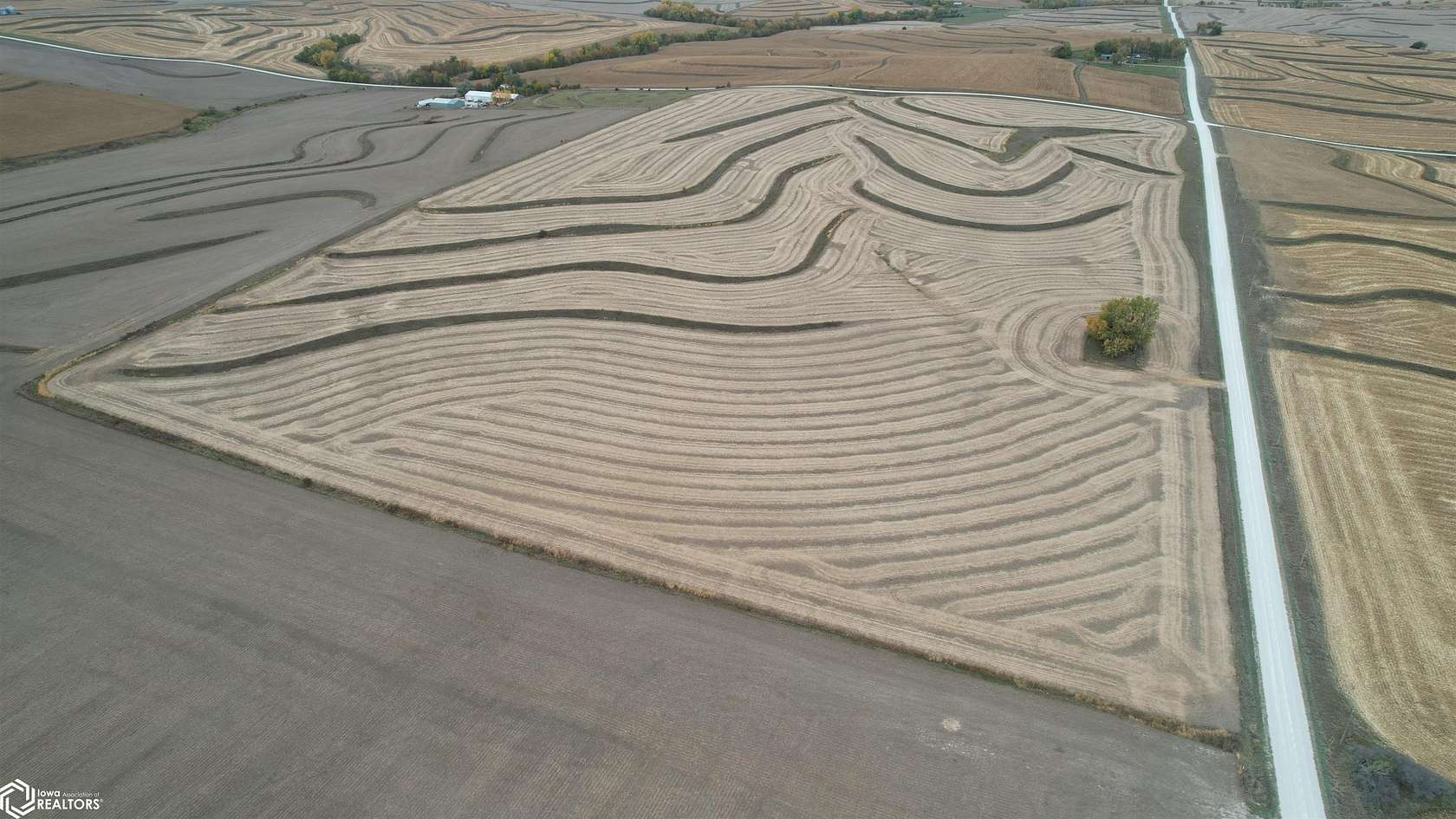 60 Acres of Agricultural Land for Sale in Carson, Iowa