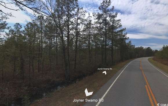 44 Acres of Land for Sale in Galivants Ferry, South Carolina