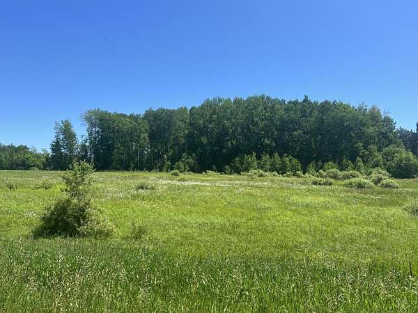 10 Acres of Residential Land for Sale in Blackhoof, Minnesota