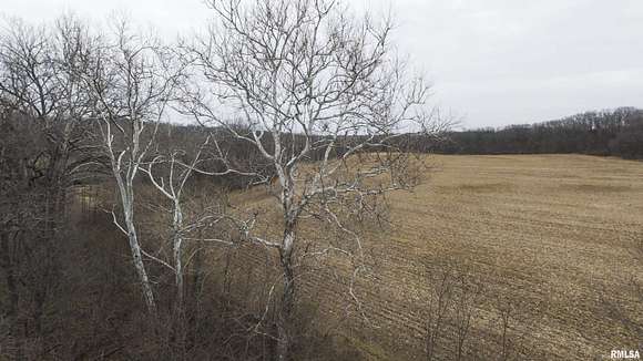 123 Acres of Recreational Land & Farm for Sale in Princeton, Illinois