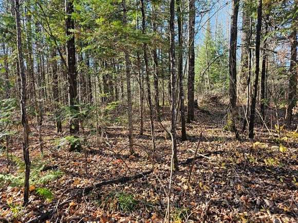 12.7 Acres of Recreational Land for Sale in Mercer, Wisconsin