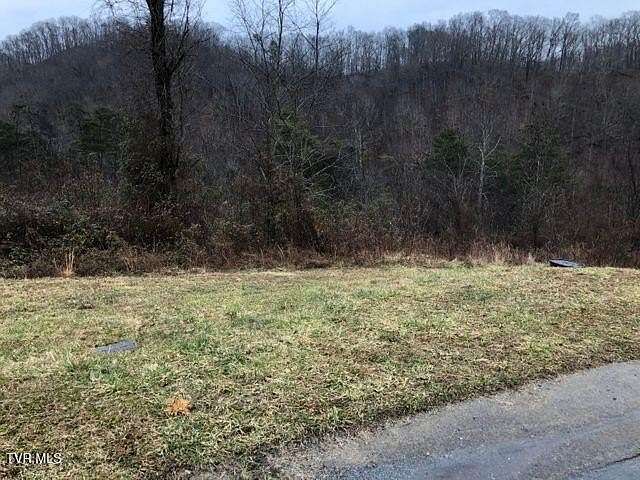 0.15 Acres of Residential Land for Sale in Bristol, Tennessee