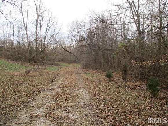 6.9 Acres of Residential Land for Sale in Grandview, Indiana