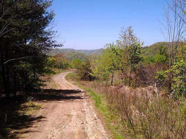 33 Acres of Recreational Land for Lease in Belcher, Kentucky