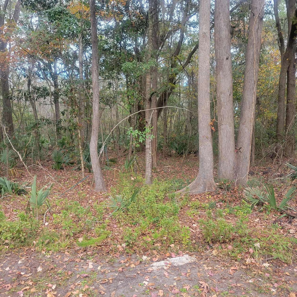 17.8 Acres of Land for Sale in Johns Island, South Carolina