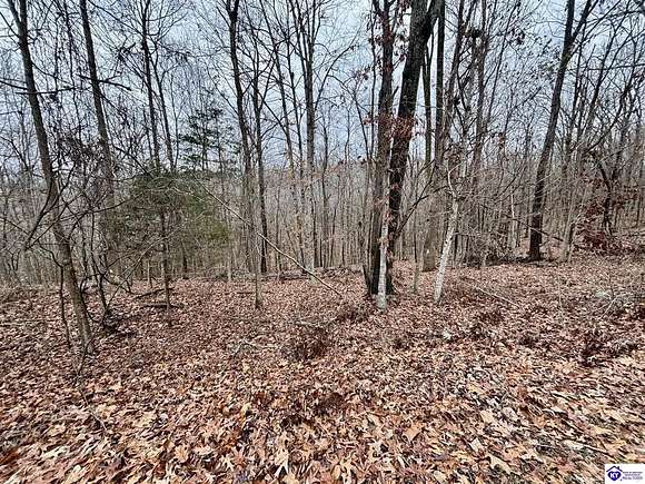 0.25 Acres of Residential Land for Sale in Brandenburg, Kentucky