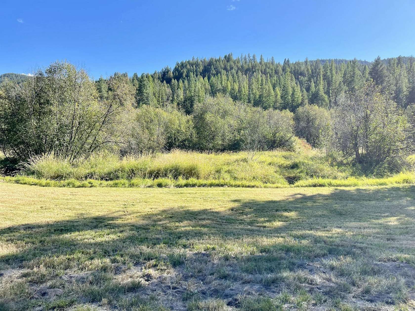 10 Acres of Recreational Land for Sale in Curlew, Washington