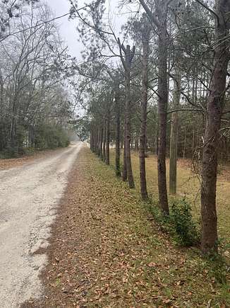 2.5 Acres of Residential Land for Sale in Gilbert, South Carolina