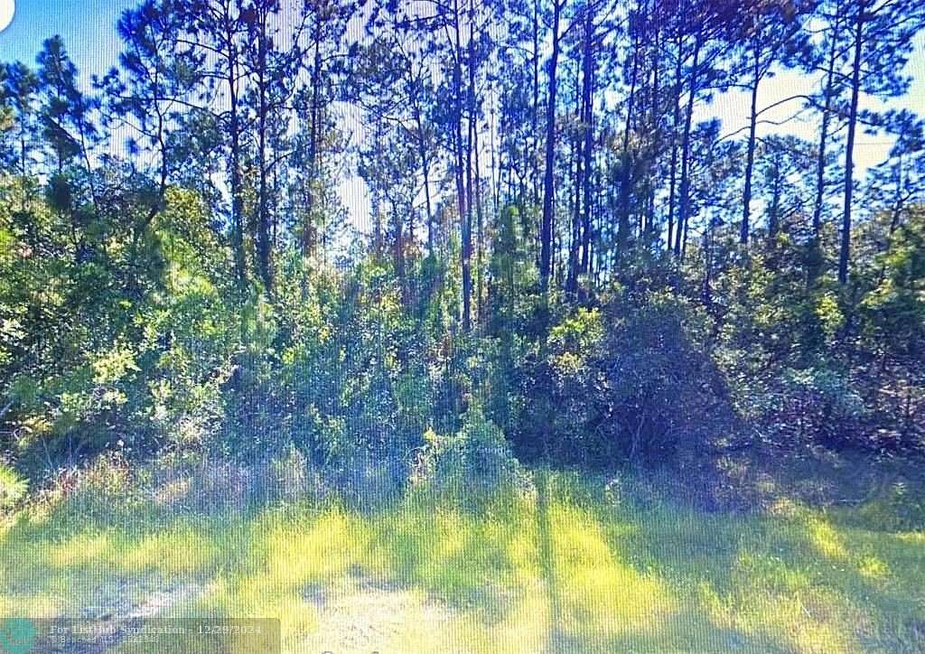 1 Acre of Residential Land for Sale in Okeechobee, Florida