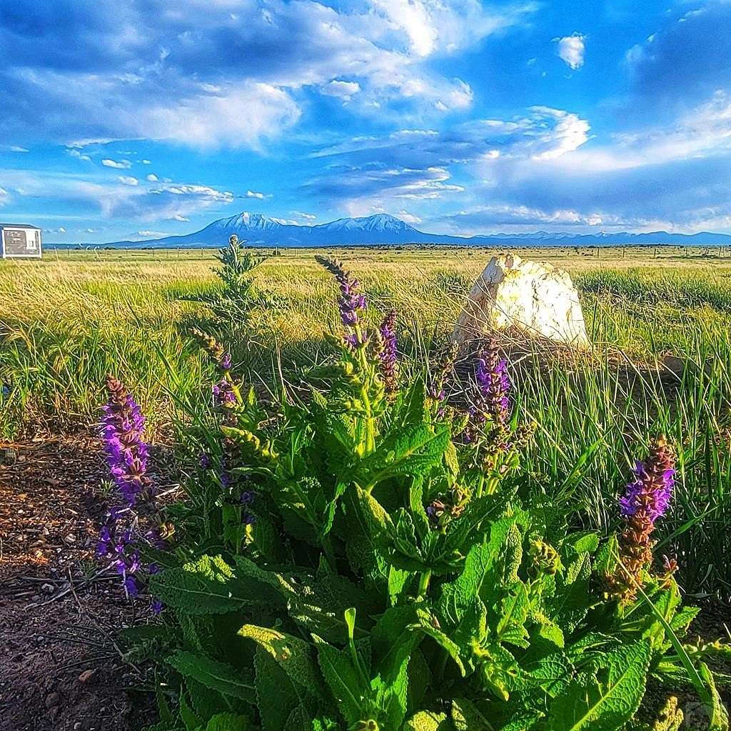2.2 Acres of Land for Sale in Walsenburg, Colorado
