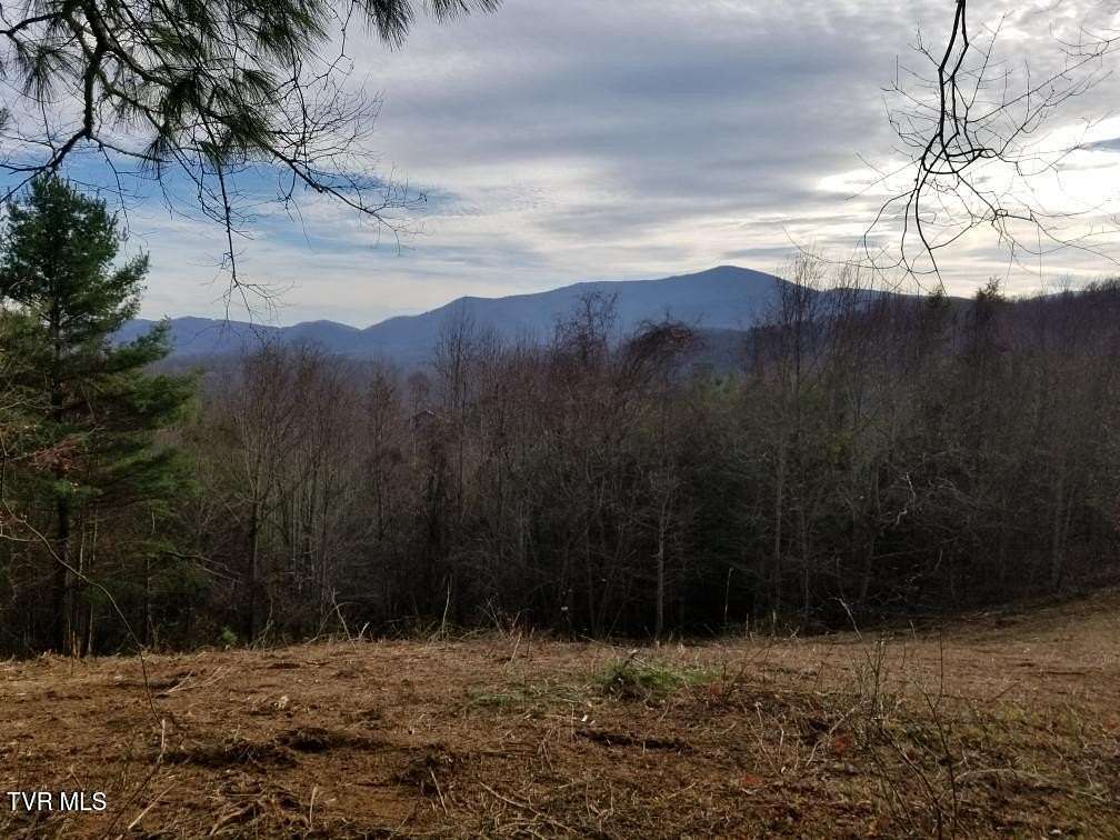 15 Acres of Recreational Land for Sale in Roan Mountain, Tennessee