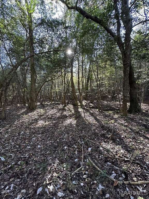 80 Acres of Recreational Land for Sale in Clayton, Alabama
