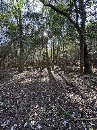 80 Acres of Recreational Land for Sale in Clayton, Alabama