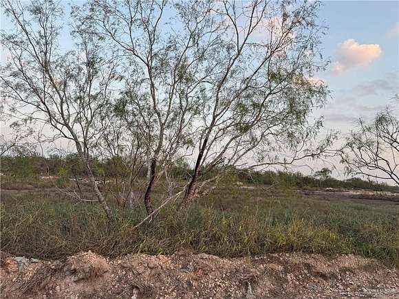 3.87 Acres of Land for Sale in Hargill, Texas