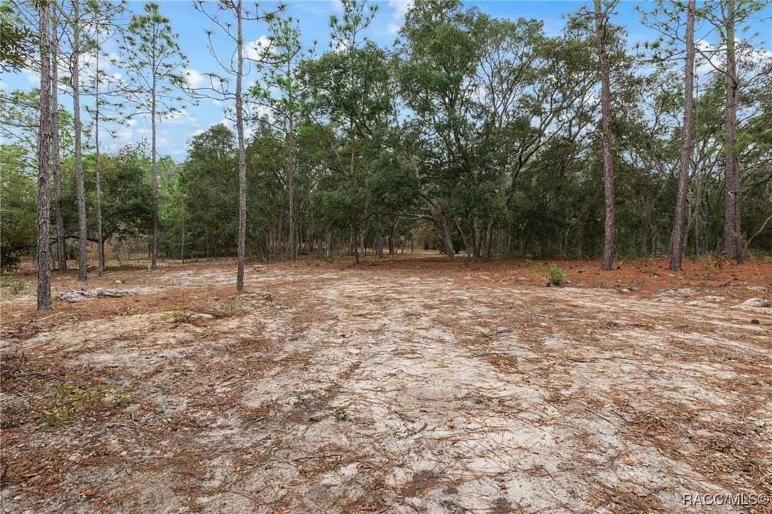 0.91 Acres of Residential Land for Sale in Dunnellon, Florida