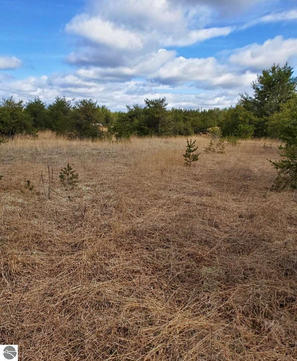 10 Acres of Land for Sale in Chase, Michigan