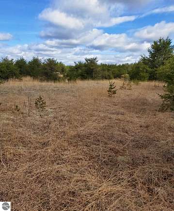 10 Acres of Land for Sale in Chase, Michigan