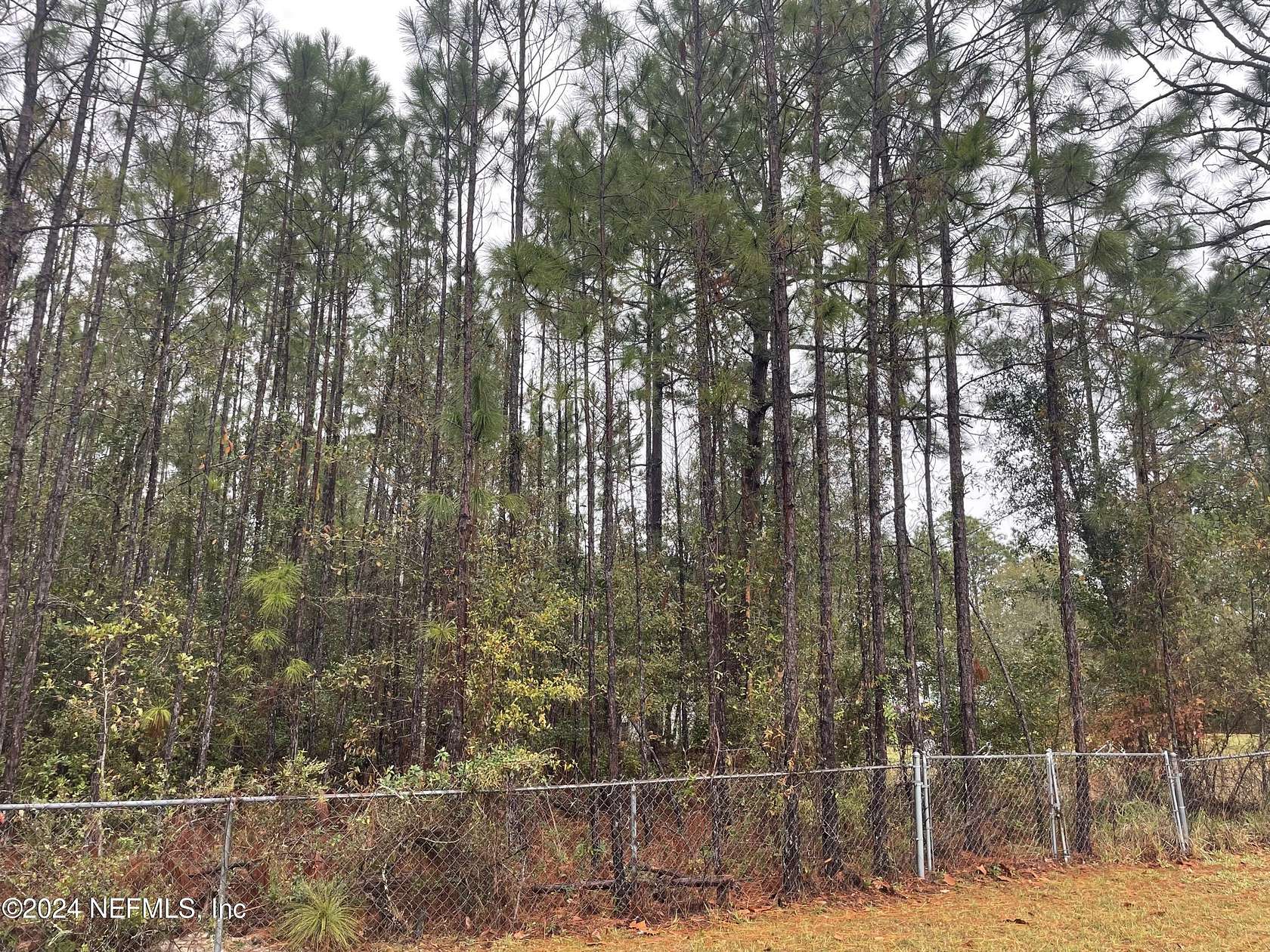 0.98 Acres of Residential Land for Sale in Middleburg, Florida