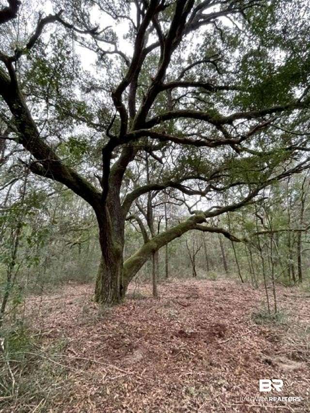 6.34 Acres of Residential Land for Sale in Lillian, Alabama