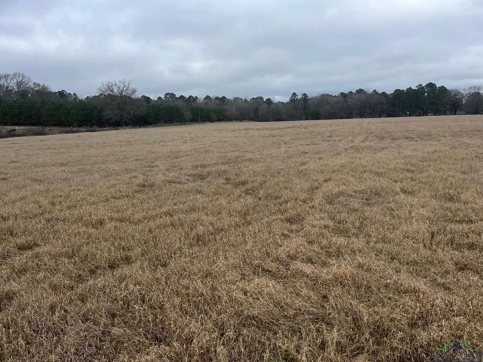 0.51 Acres of Residential Land for Sale in Gilmer, Texas