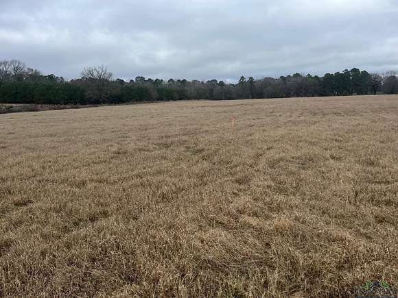 0.51 Acres of Residential Land for Sale in Gilmer, Texas