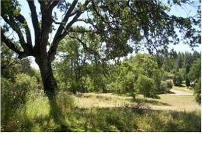 1.01 Acres of Residential Land for Sale in Sheep Ranch, California