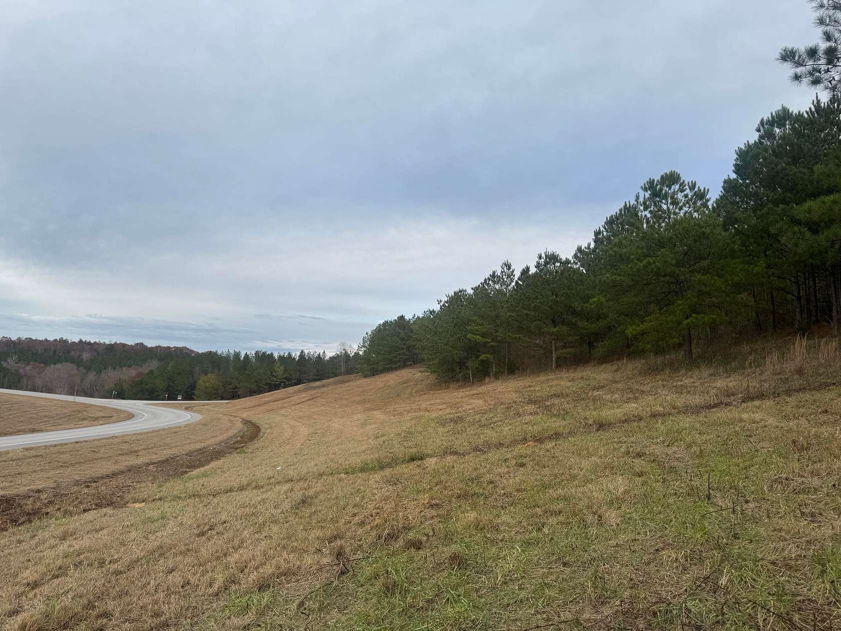 12 Acres of Land for Sale in Camp Hill, Alabama