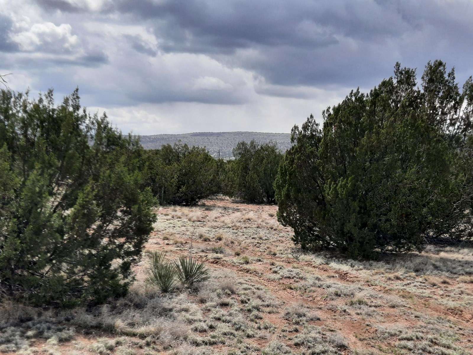 1.64 Acres of Land for Sale in Seligman, Arizona