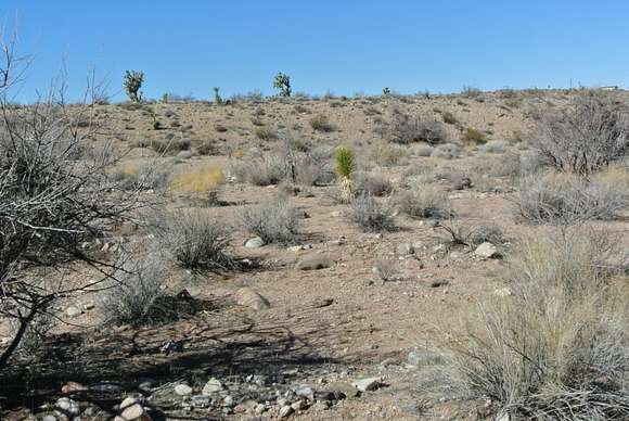 1.25 Acres of Residential Land for Sale in Meadview, Arizona