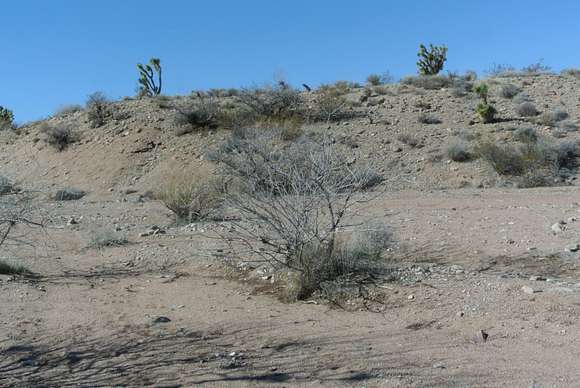 1.25 Acres of Residential Land for Sale in Meadview, Arizona