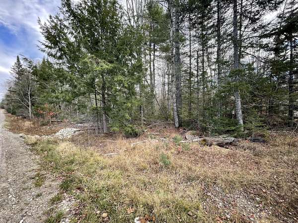 11.6 Acres of Land for Sale in Union, Maine