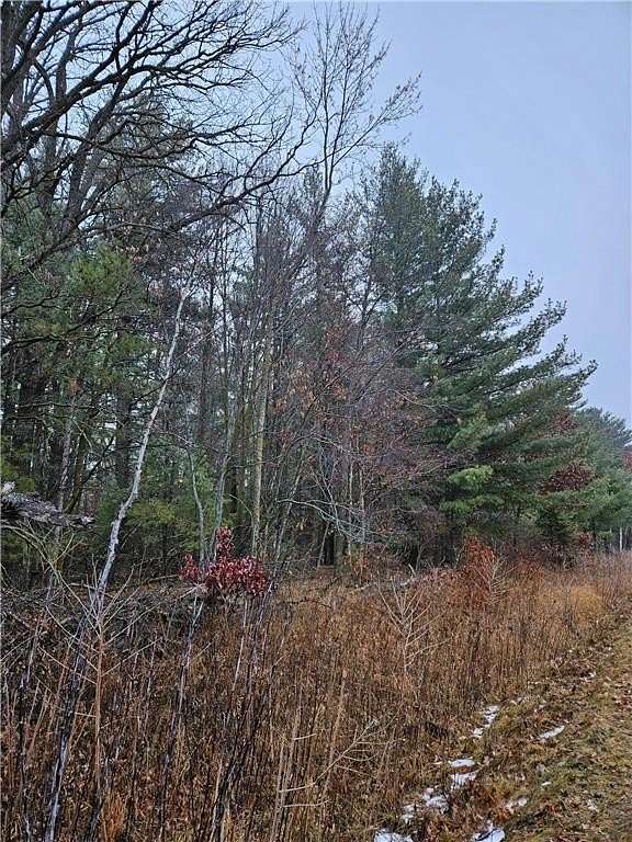 15.29 Acres of Land for Sale in Nokay Lake Township, Minnesota