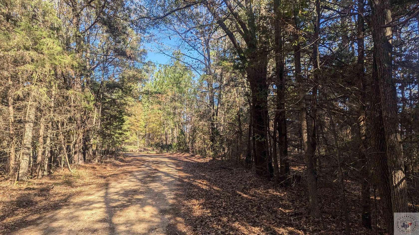 14 Acres of Recreational Land for Sale in Simms, Texas