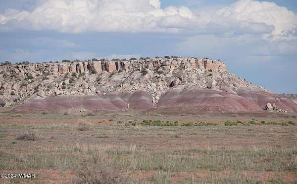 36.5 Acres of Recreational Land for Sale in St. Johns, Arizona