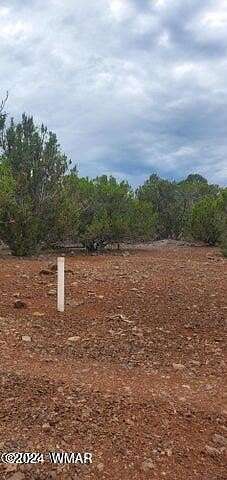 5 Acres of Residential Land for Sale in Vernon, Arizona