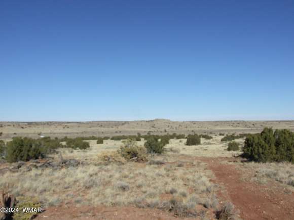 5 Acres of Residential Land for Sale in Snowflake, Arizona