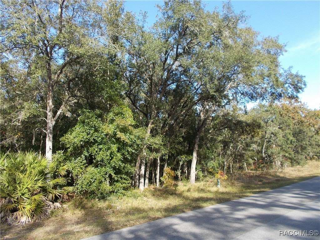 1.02 Acres of Residential Land for Sale in Hernando, Florida