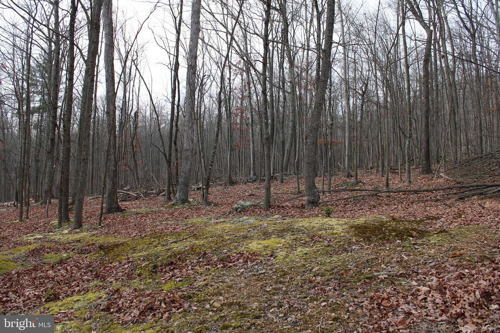 14.29 Acres of Recreational Land for Sale in Slanesville, West Virginia