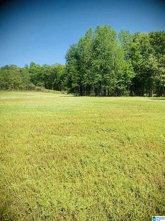 87 Acres of Recreational Land for Sale in Heflin, Alabama