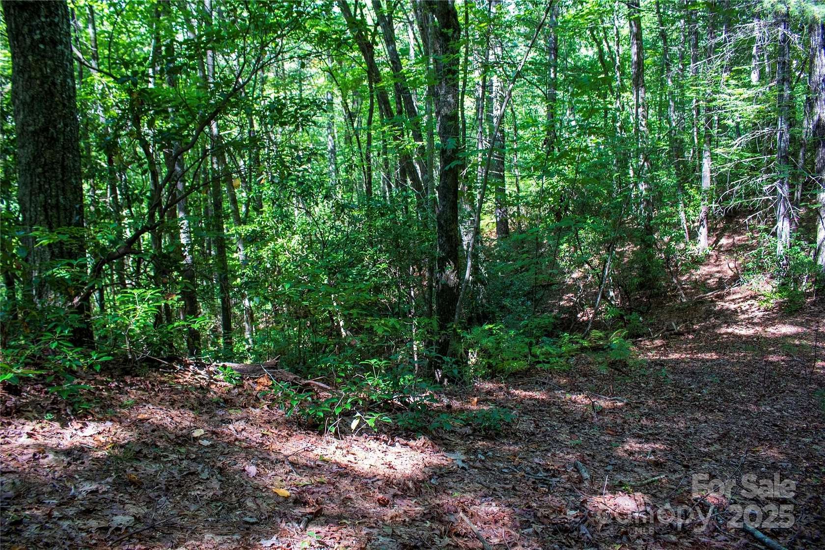 1.89 Acres of Residential Land for Sale in Brevard, North Carolina