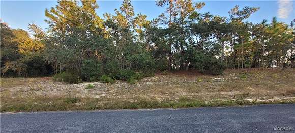 0.26 Acres of Residential Land for Sale in Citrus Springs, Florida