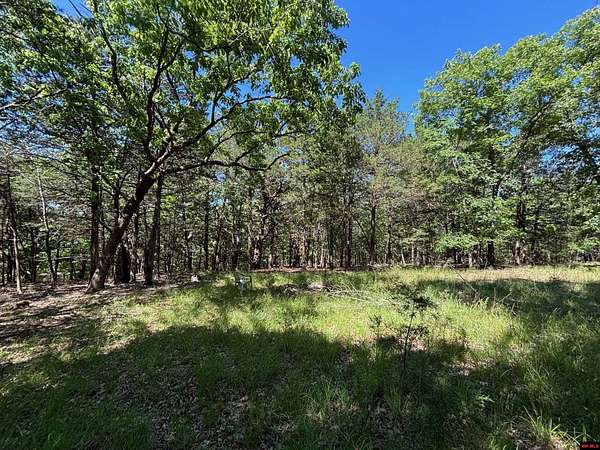 1.34 Acres of Residential Land for Sale in Oakland, Arkansas