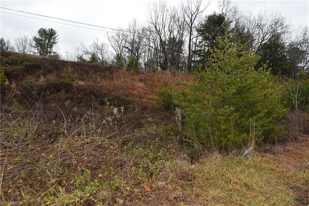 0.56 Acres of Commercial Land for Sale in Mount Airy, North Carolina
