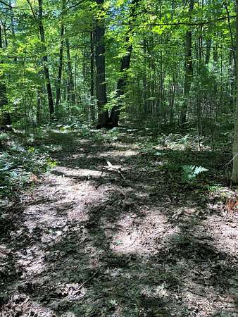 0.54 Acres of Land for Sale in Topinabee, Michigan