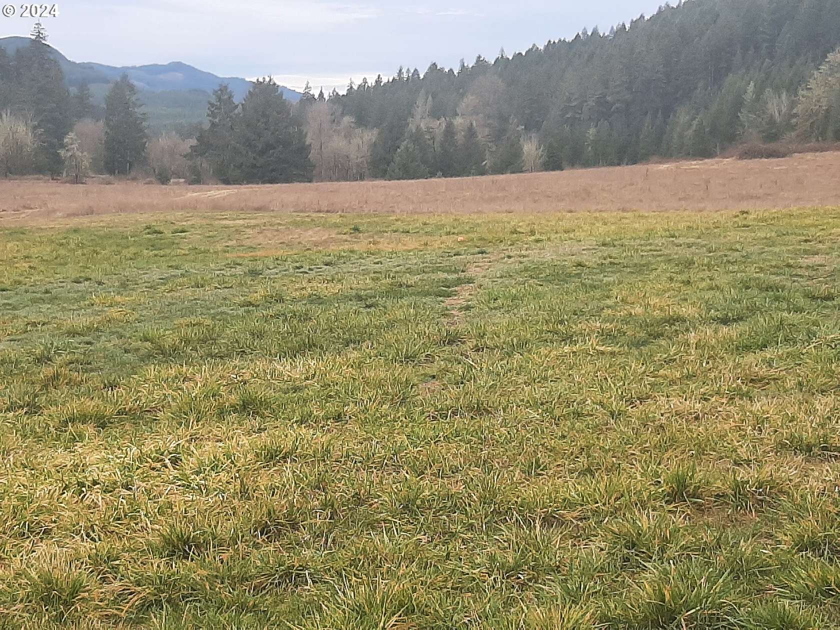 38.92 Acres of Land for Sale in Dorena, Oregon