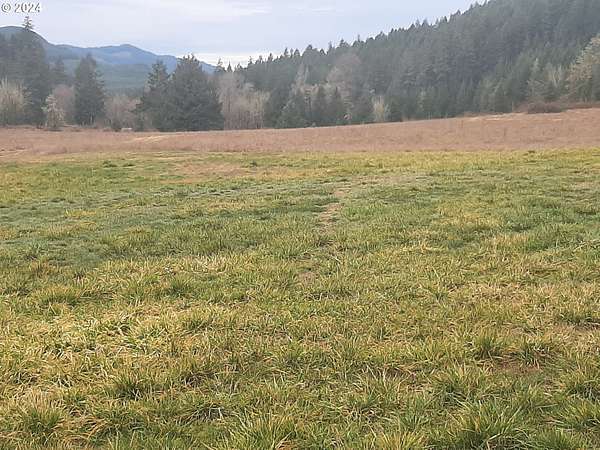39 Acres of Agricultural Land for Sale in Dorena, Oregon